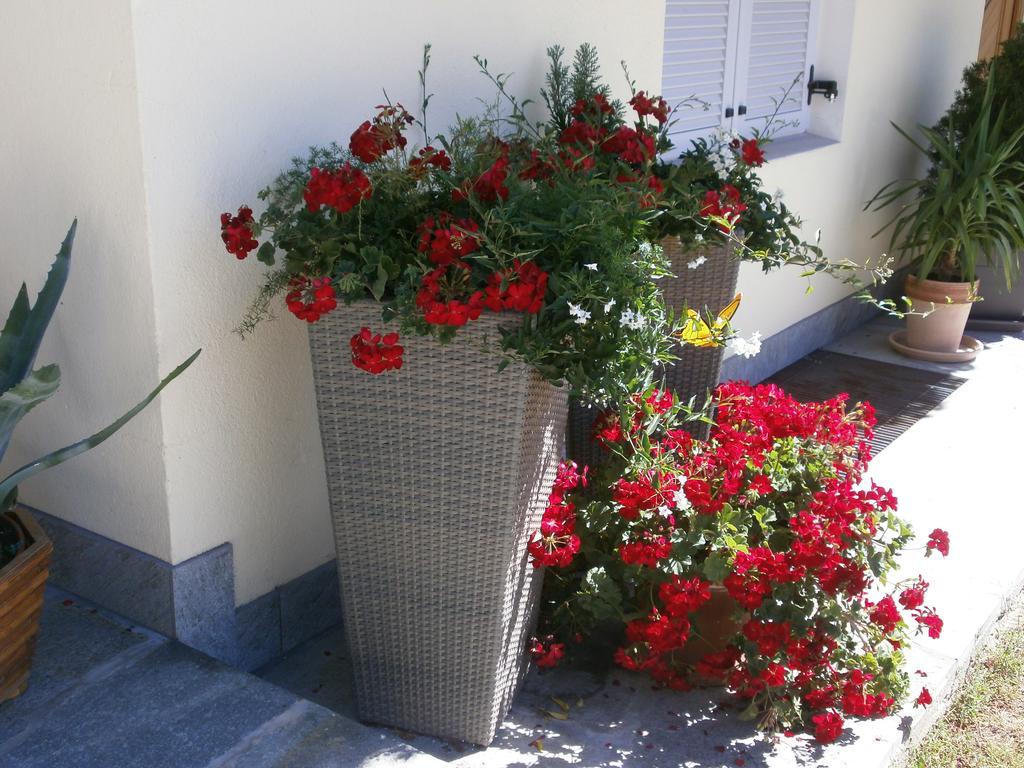 Garni Hattlerhof B&B Brunico Exterior photo